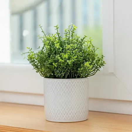 Sloneczny W Centrum Gdanska Glownego By Renters